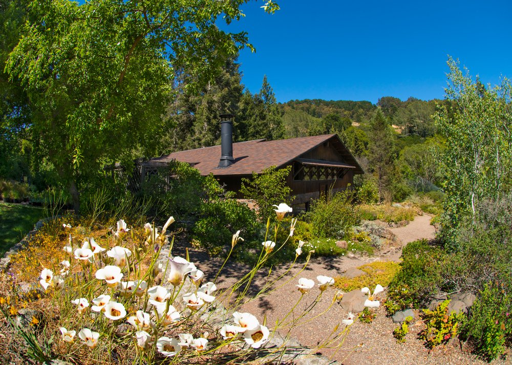 Regional Parks Botanic Garden 1